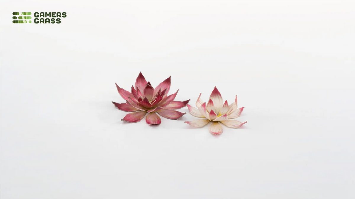 Lotus Flower