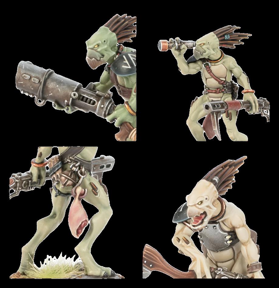 KROOT CARNIVORES