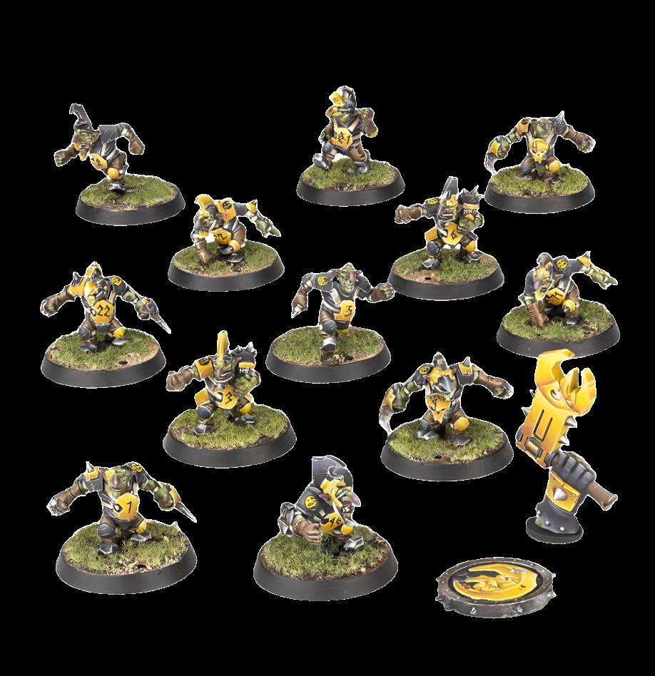 BLOOD BOWL: GOBLIN TEAM