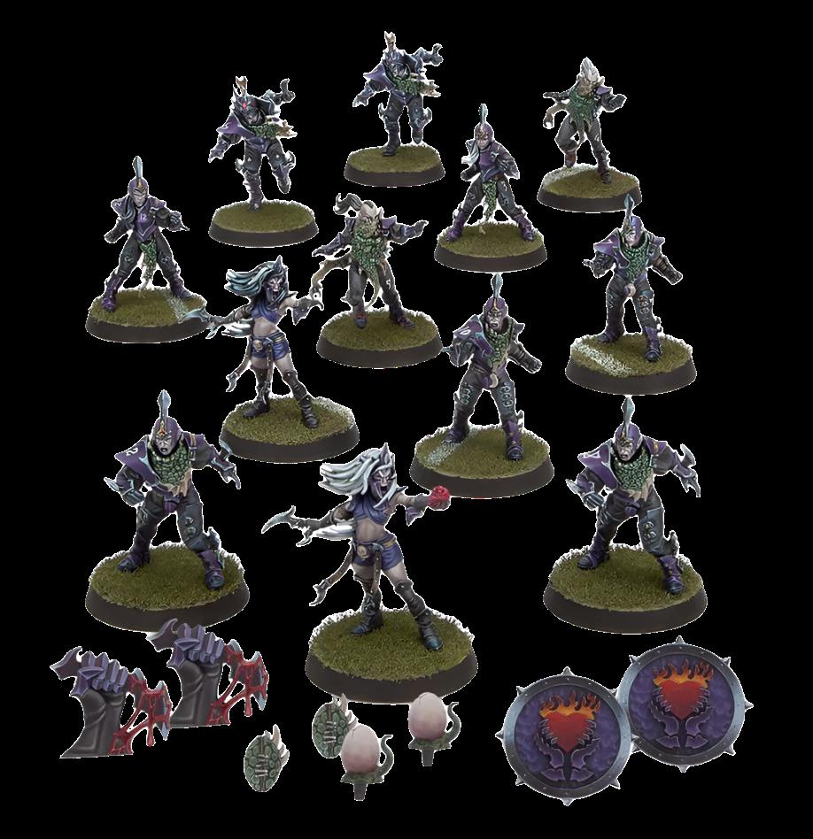 BLOOD BOWL: DARK ELF TEAM