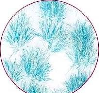 Ciuffi Erba Alien - NEON YETI BLUE