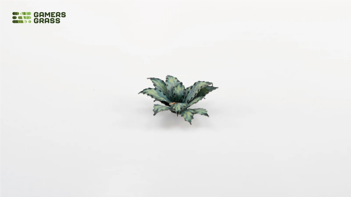 Blue Agave