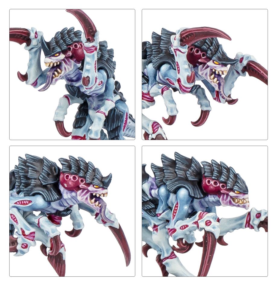 日本語　KILL TEAM: TYPHON (ENGLISH) タイフォン キルチーム：タイフォン（日本語版） KILL TEAM: TYPHON