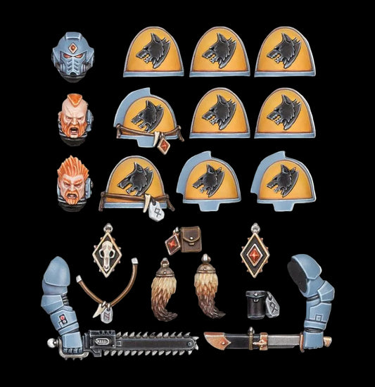 SPACE WOLVES: Space Wolves Primaris Upgrades
