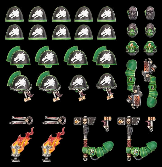 Dotazioni e trasferibili dei Salamanders Primaris
