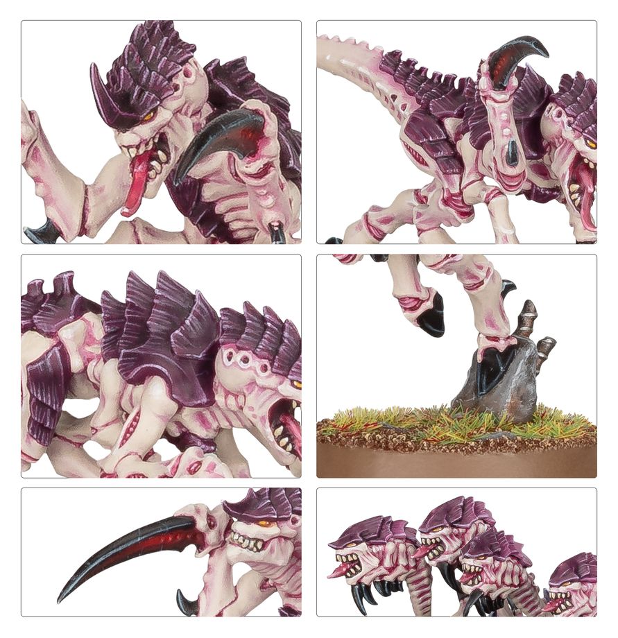 Hormagaunt