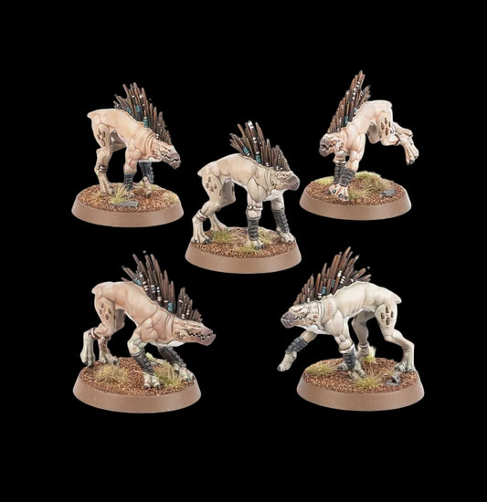 Kroot Hounds