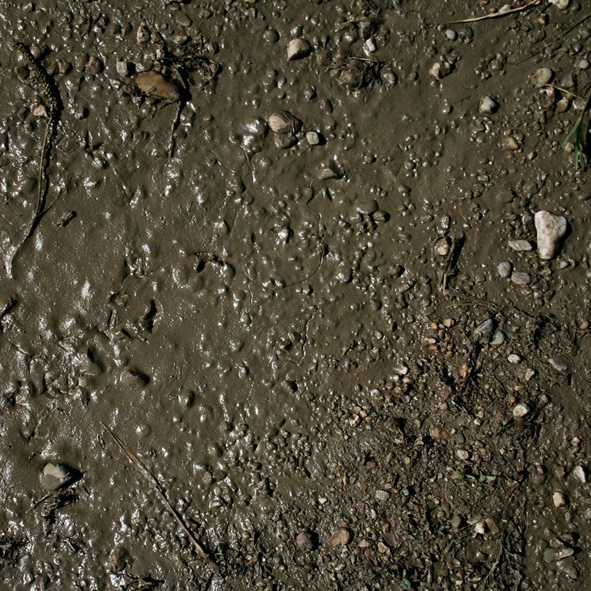 terrains wet ground 250ML