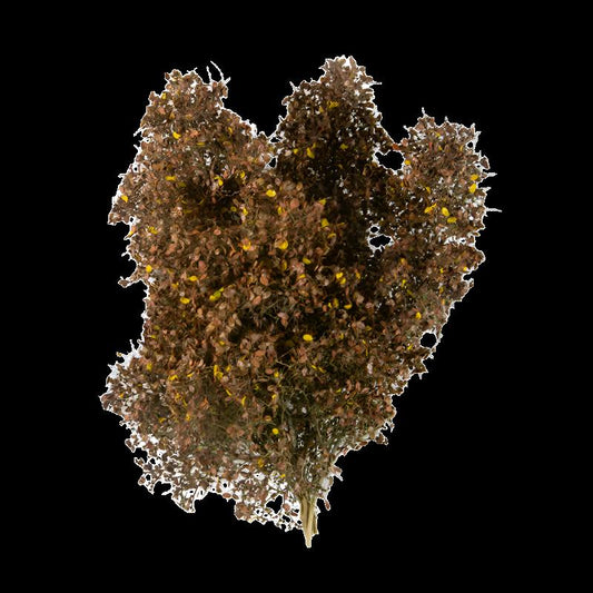 LATE FALL FILIGREE BUSHES