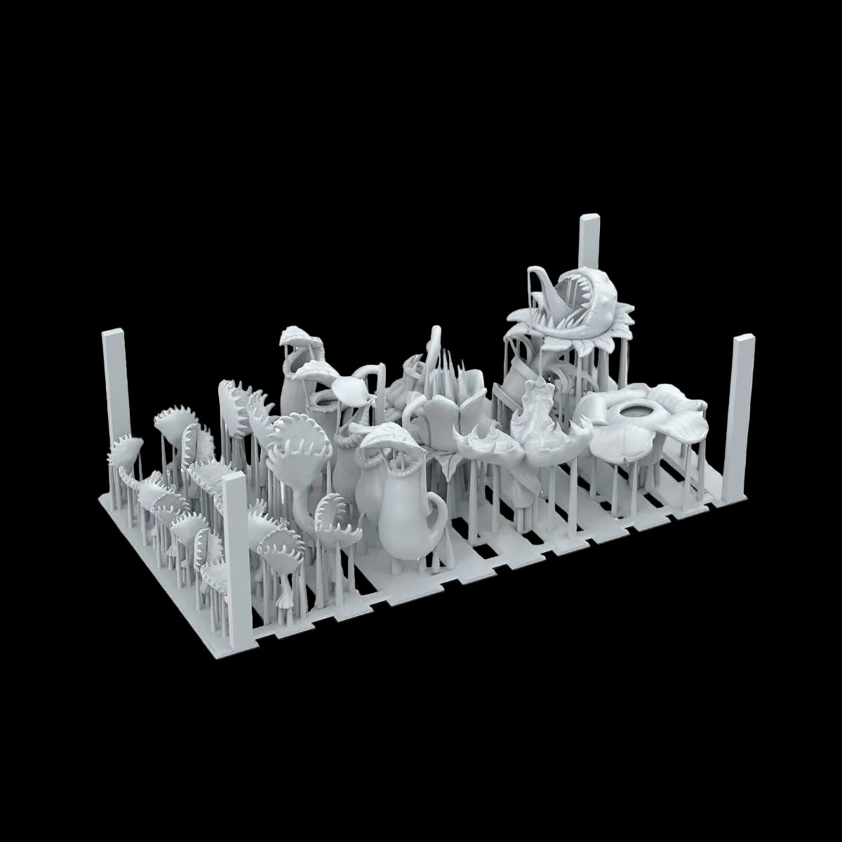 CARNIVOROUS PLANTS – AK BASING BITS