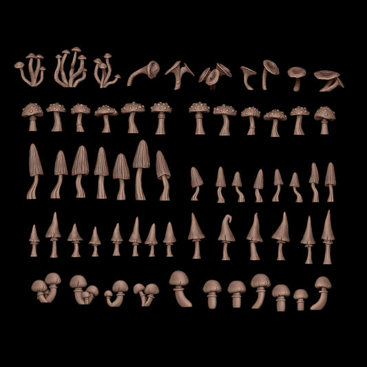 FOREST MUSHROOMS – AK BASING BITS