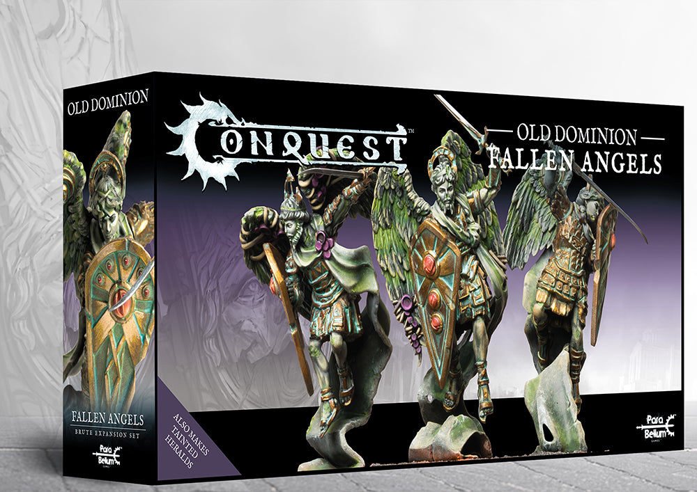 ( Pre order ) Fallen Angels (Dual Kit)