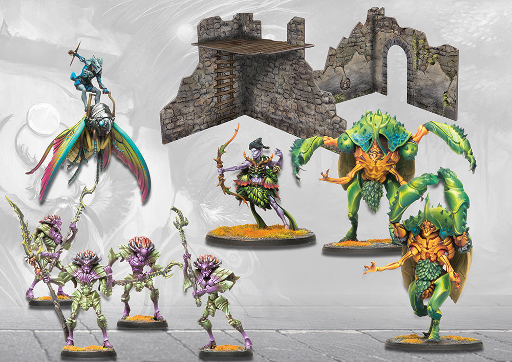 ( Pre Order ) Weaver Courts Reinforcement Set