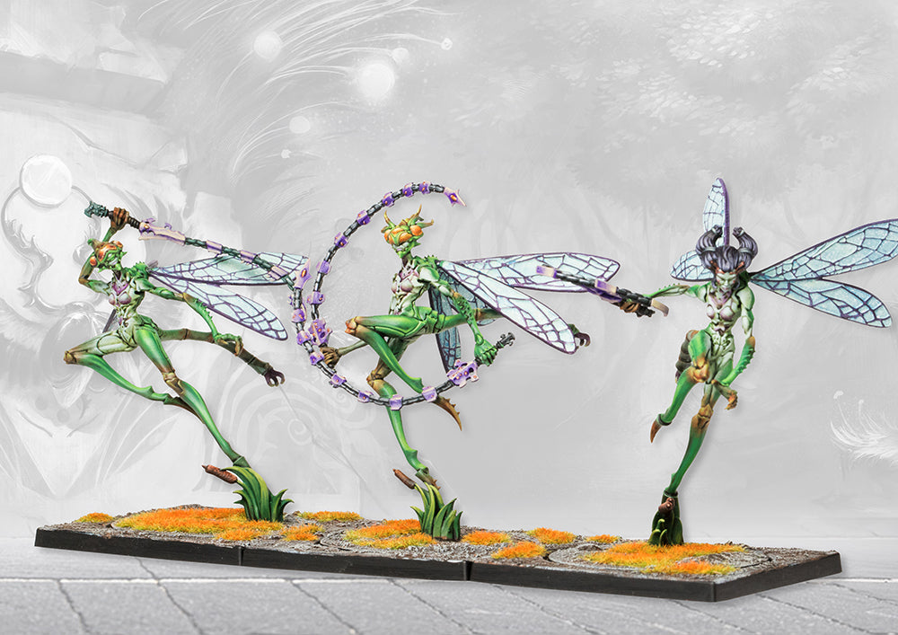 Scaile Dancers
